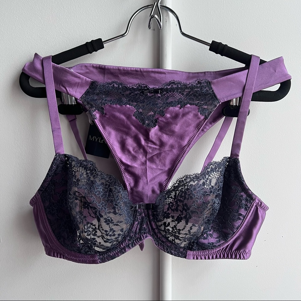 COPY - Myla lingerie 3 Bras~2 Panties ~ All Silk ~Treasure Box 36C/M panties - Picture 4 of 17